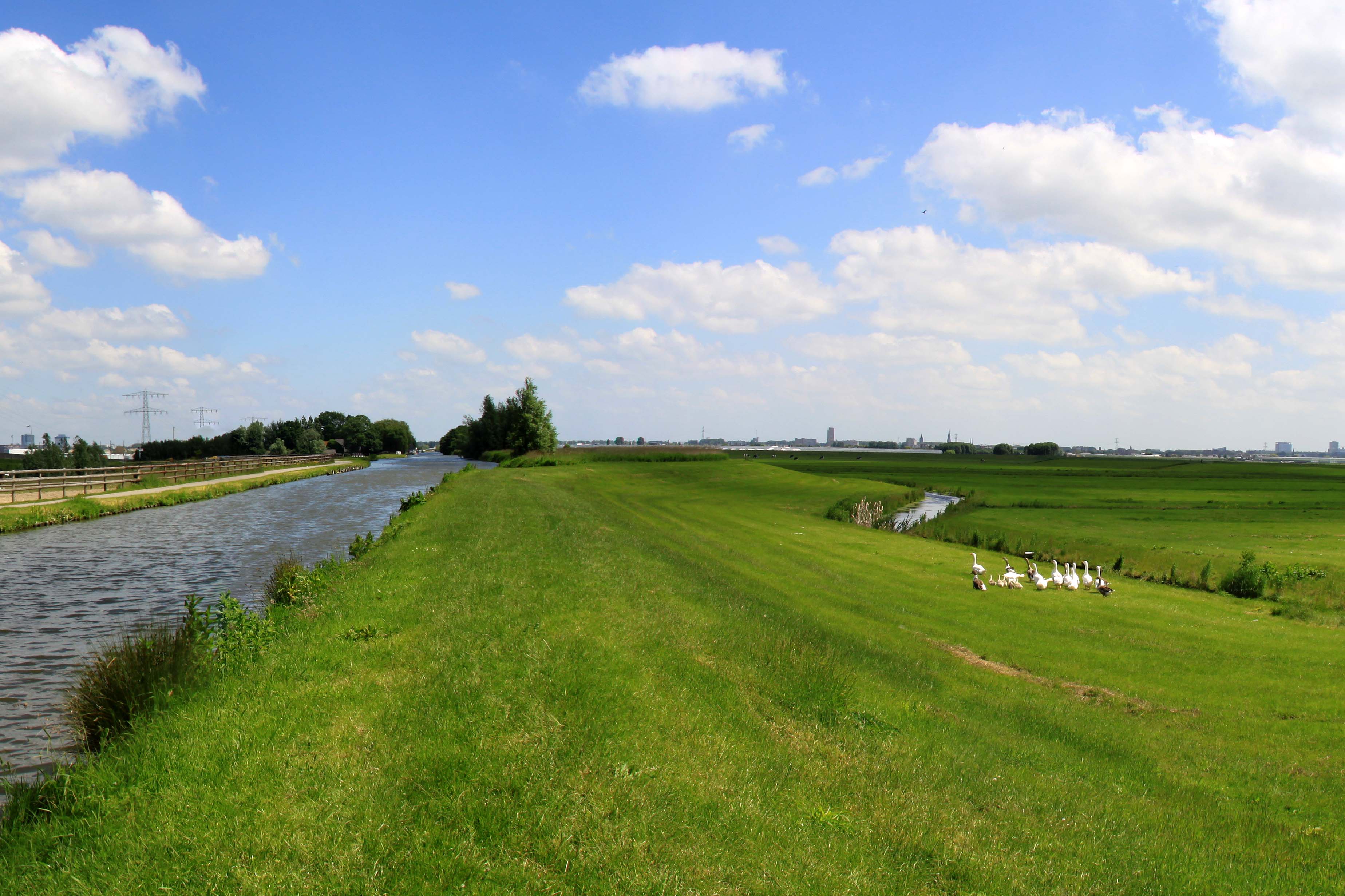 Woudse Polder