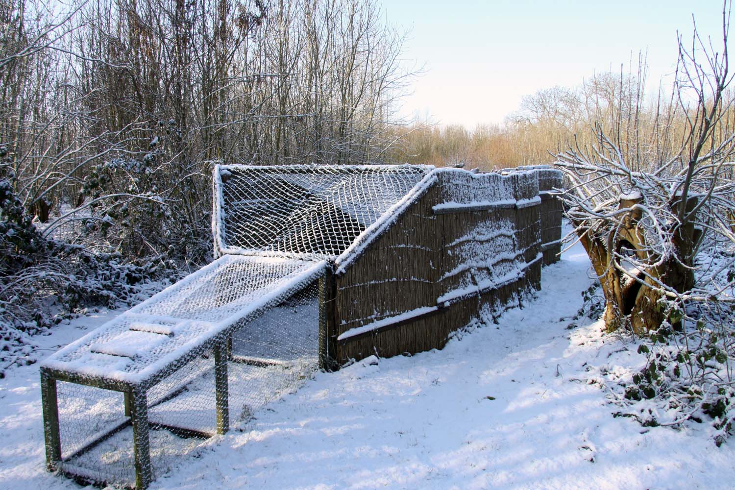 Zouteveen eendenkooi