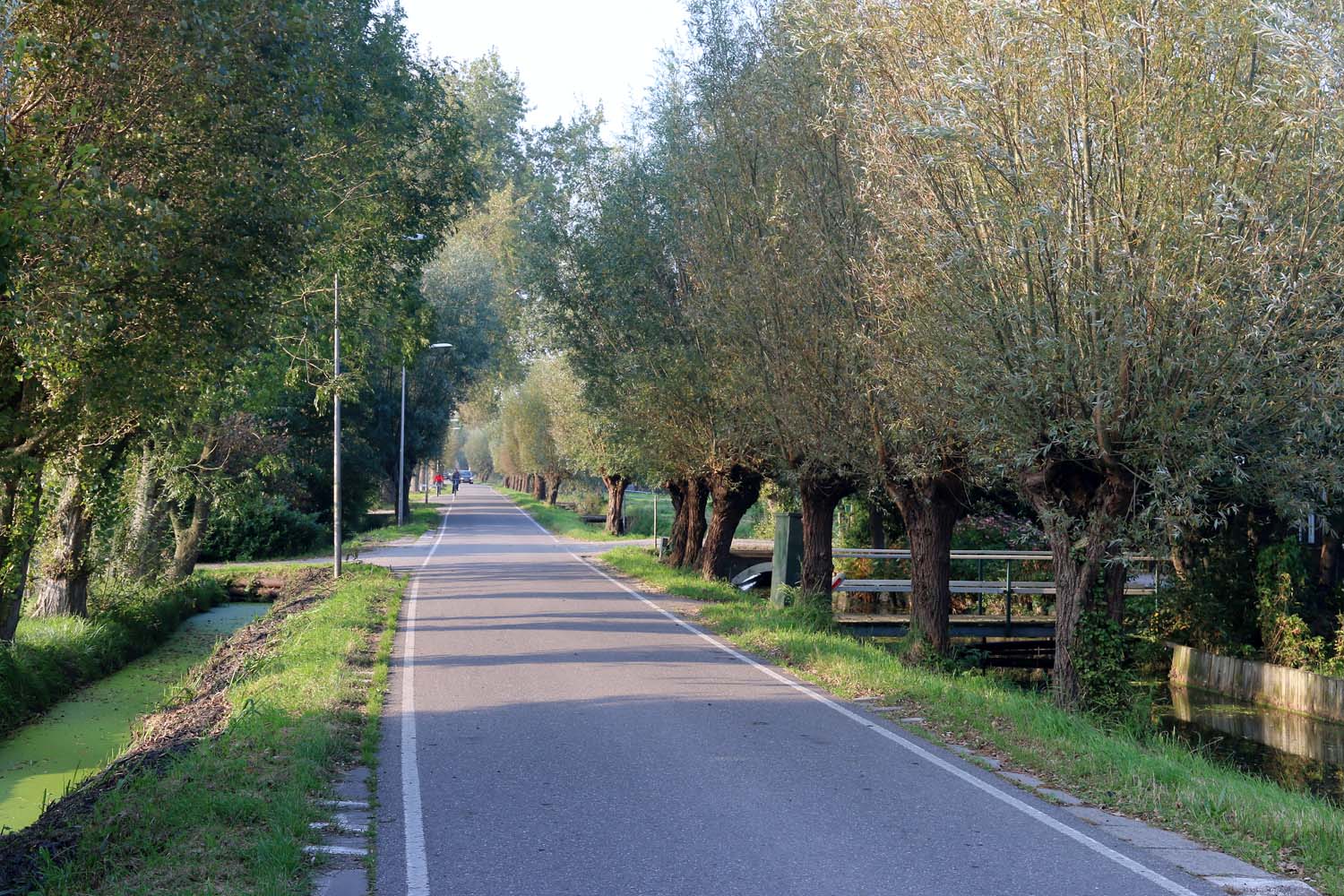 Zouteveenseweg