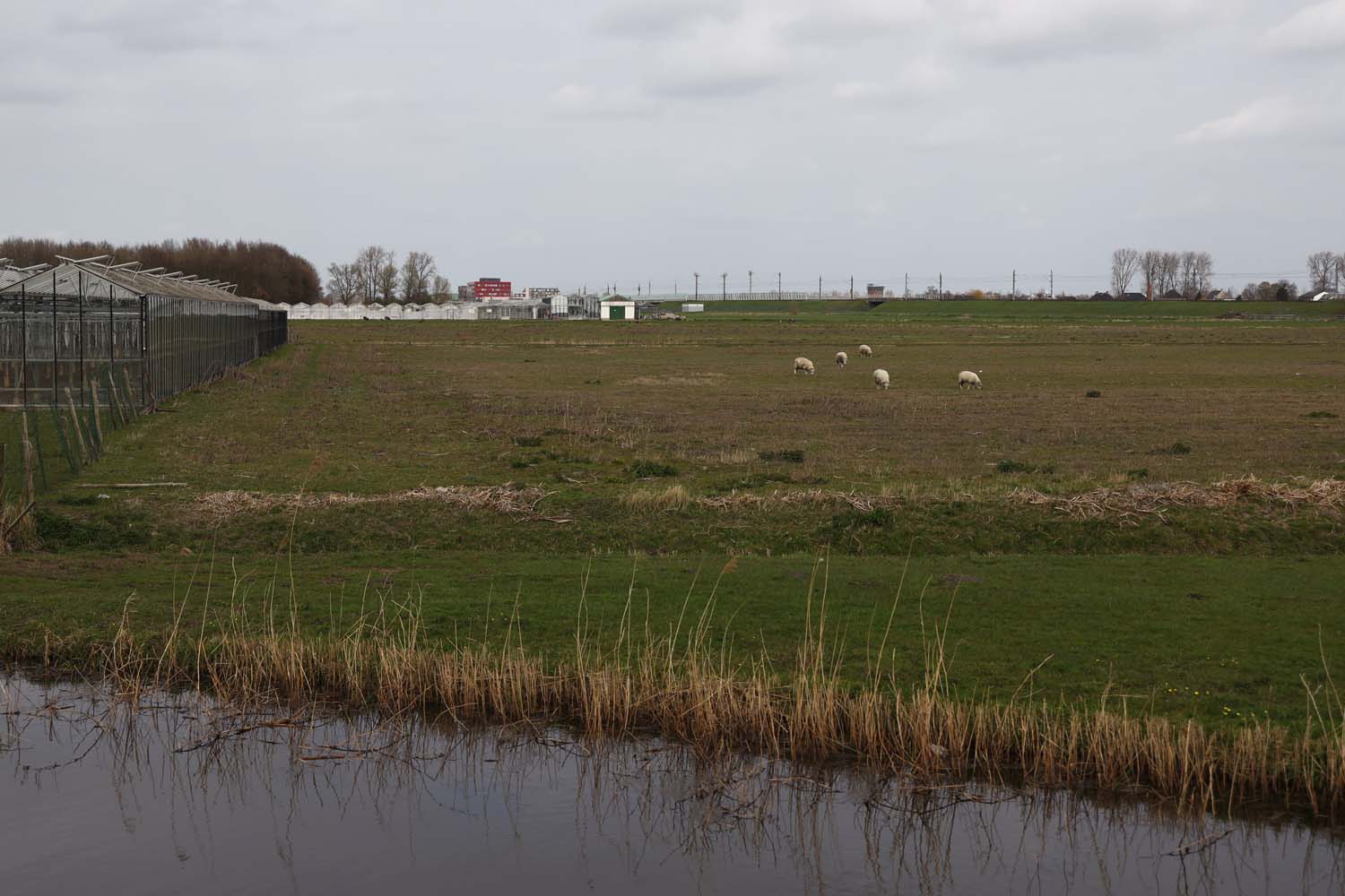 Schiebroekse Polder