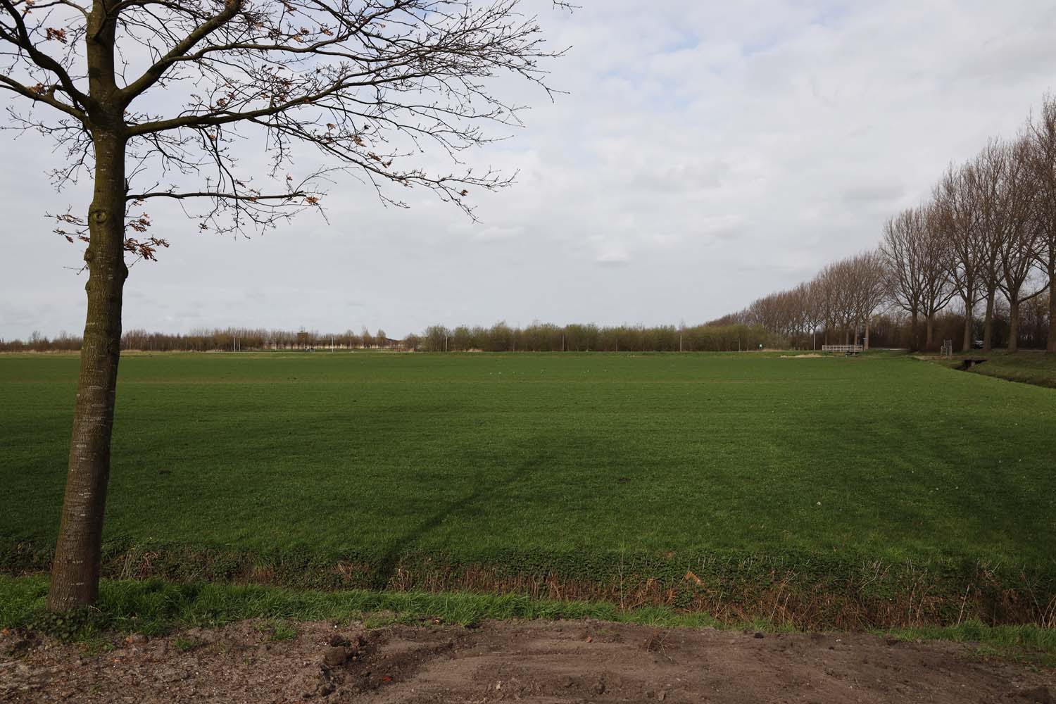 Schiebroekse Polder