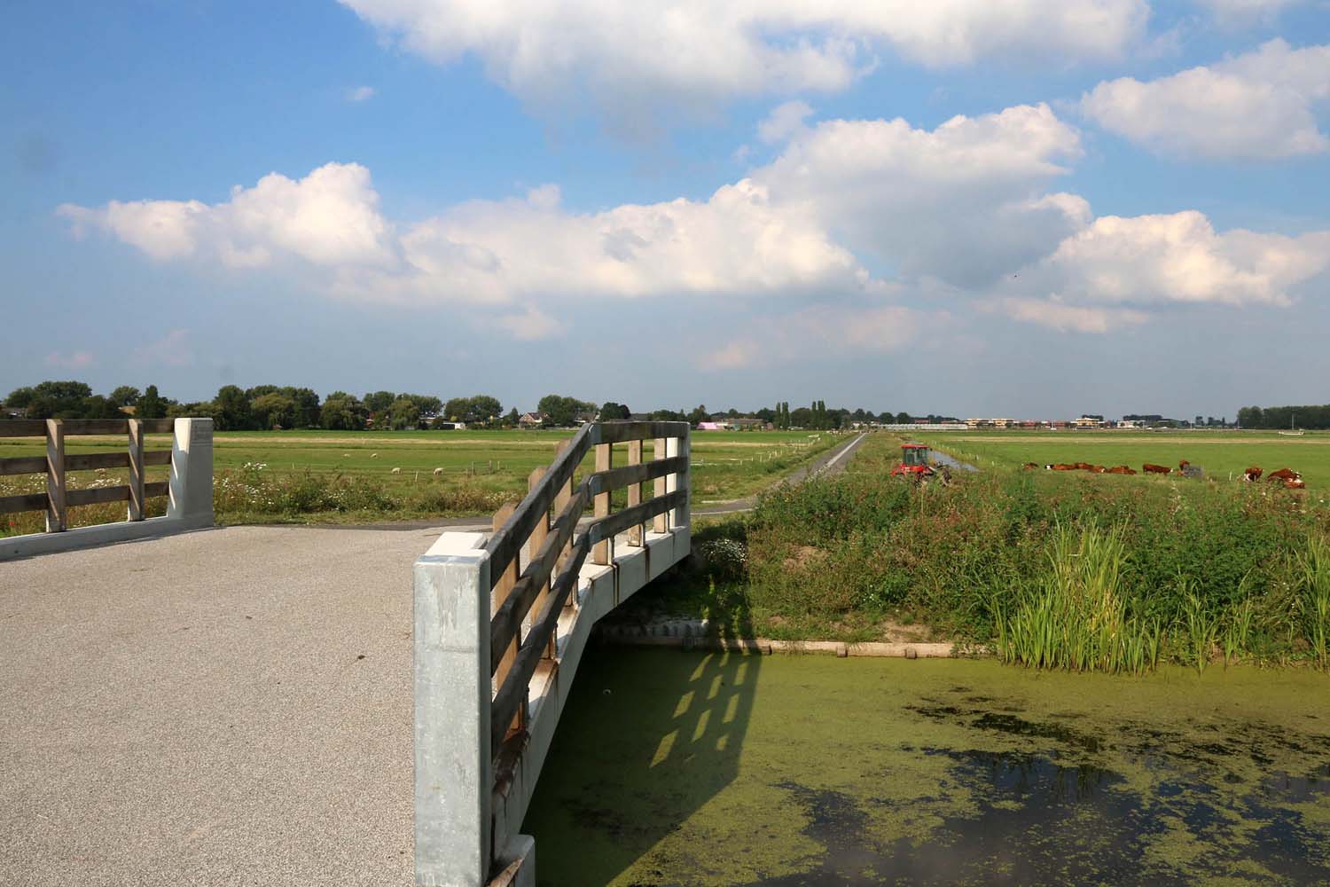 Zuidpolder