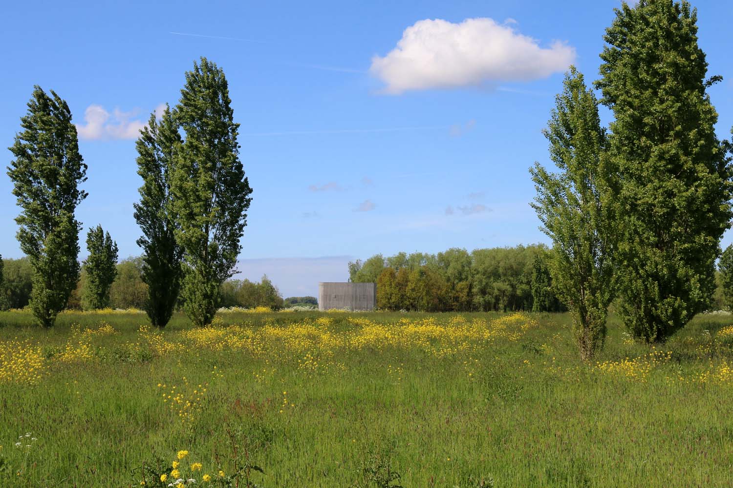 Ackerdijksebos