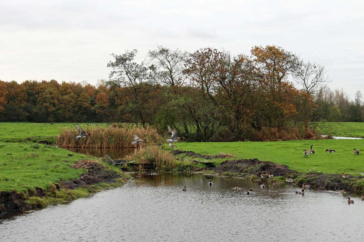 Ruyvenschemolenpad en kasteel Ruyven