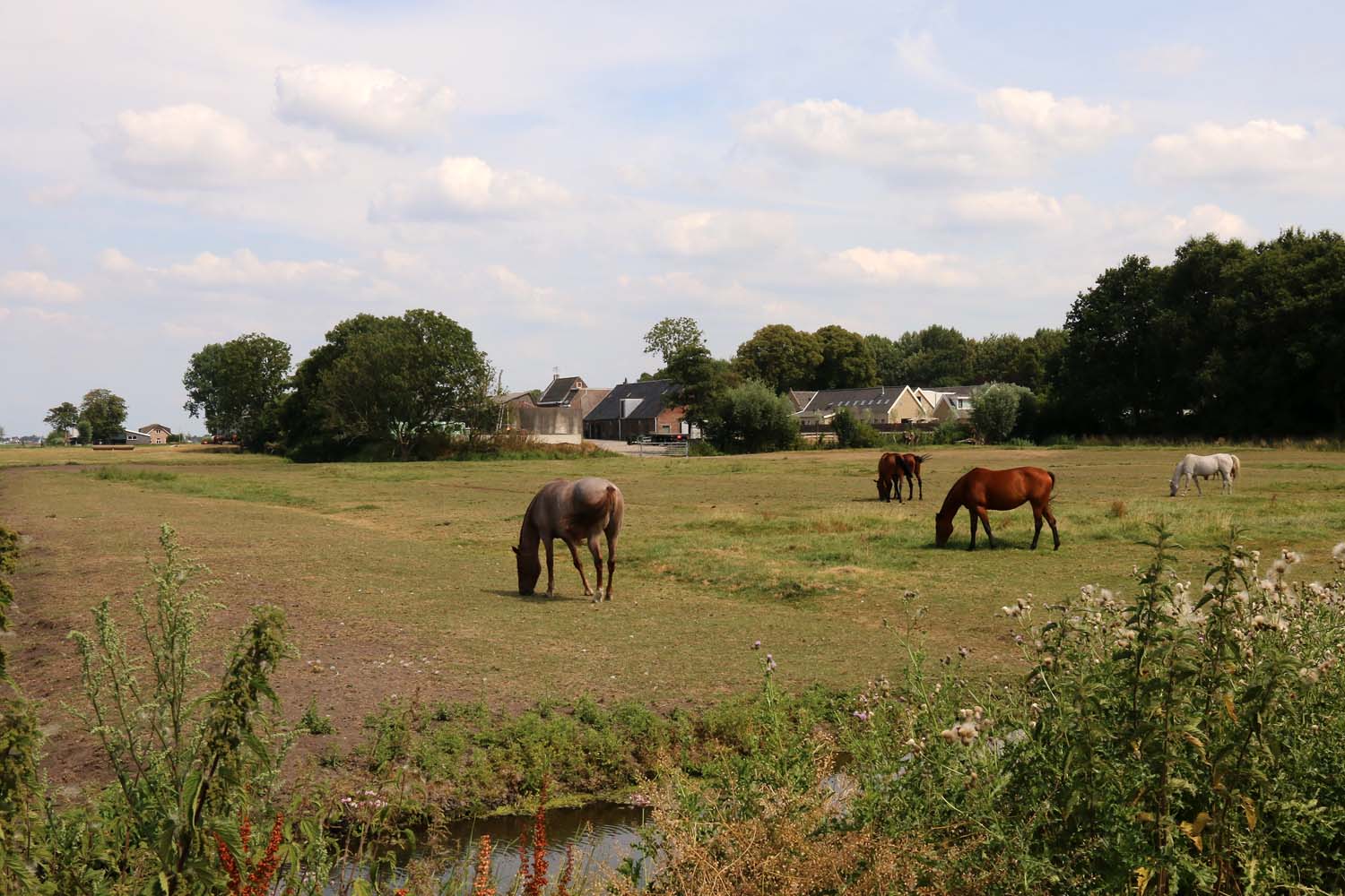 Zuideindseweg