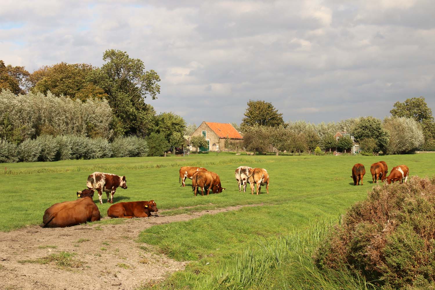 Zuideindseweg