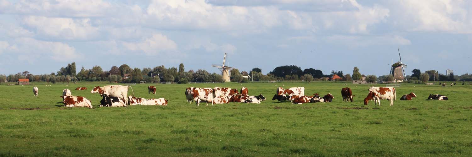 Ode aan Midden-Delfland - 2021