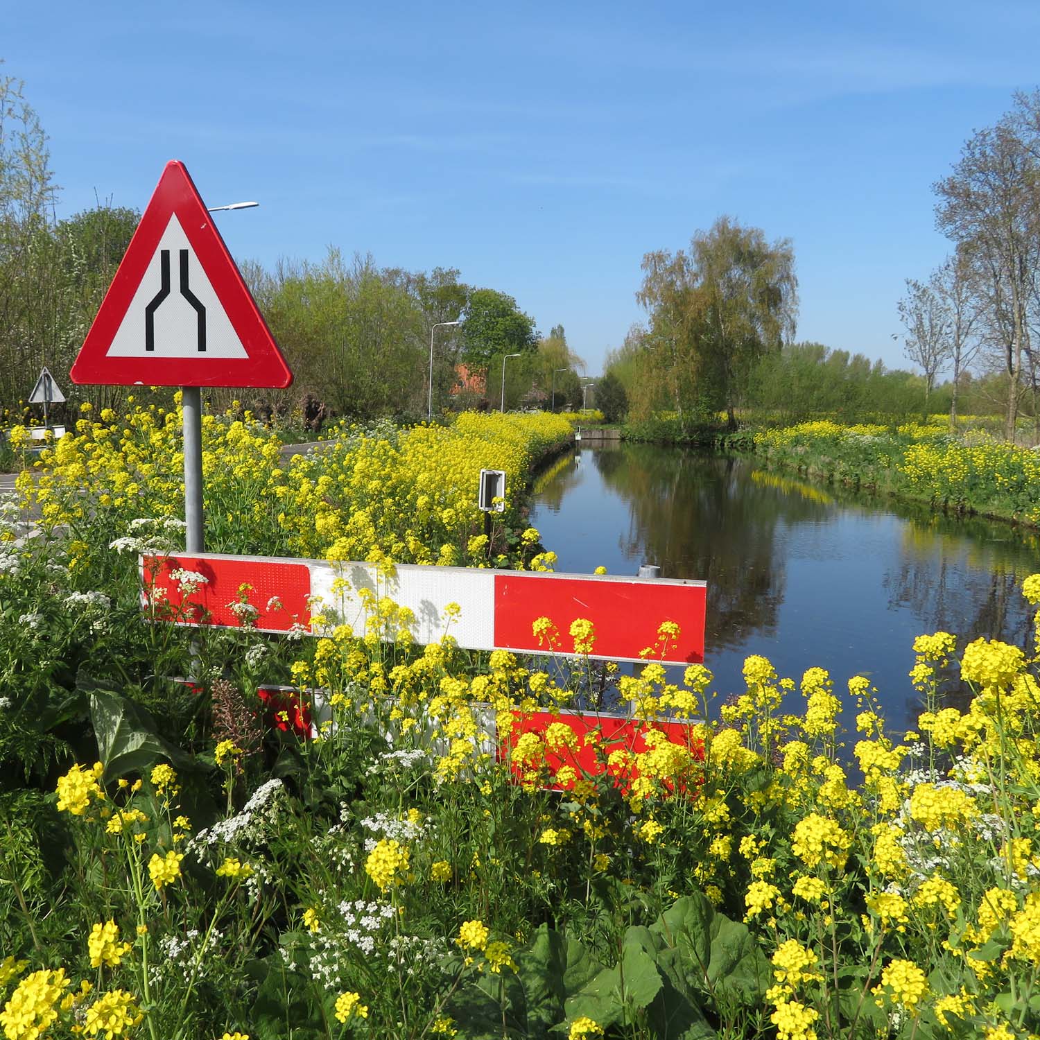 Ode aan Midden-Delfland - 2021