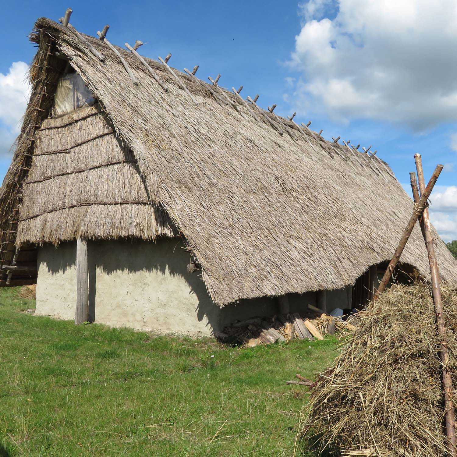 Ode aan Midden-Delfland - 2021