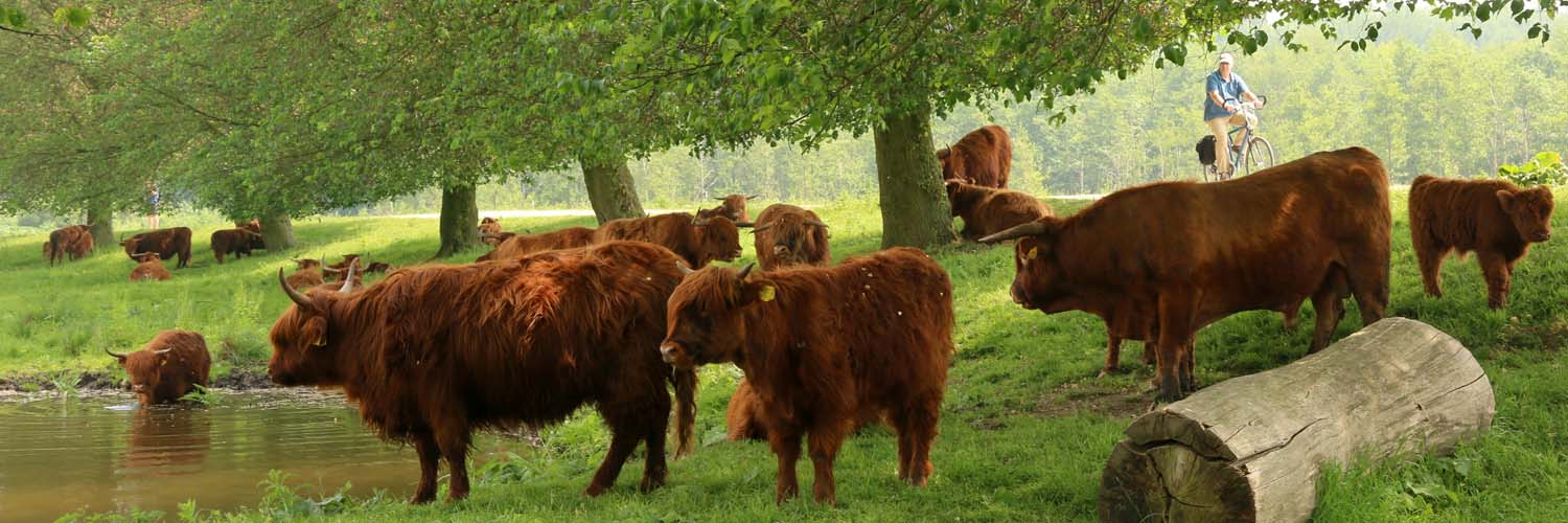 Ode aan Midden-Delfland - 2021