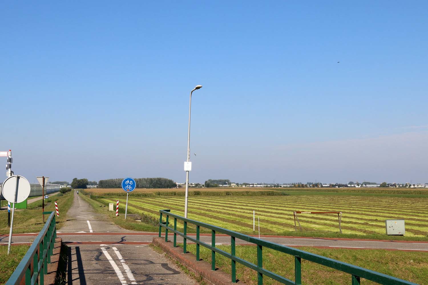 Gras-voor-gras in de Kralingerpolder.