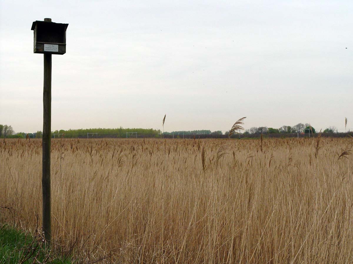 Rietputten excursie